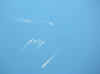 Corse_11.JPG (98215 octets)