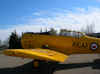 T6_eyg-3.JPG (102187 octets)