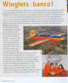 Winglets_IP.jpg (855043 octets)
