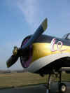 Winglets_Yak52_6.jpg (121631 octets)