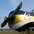 logo_patrouille_winglets.gif (40892 octets)