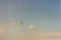 ecco_04.jpg (577357 octets)