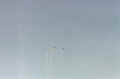 ecco_05.jpg (564920 octets)
