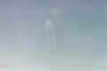 ecco_06.jpg (562980 octets)