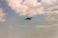 ecco_16.jpg (544745 octets)